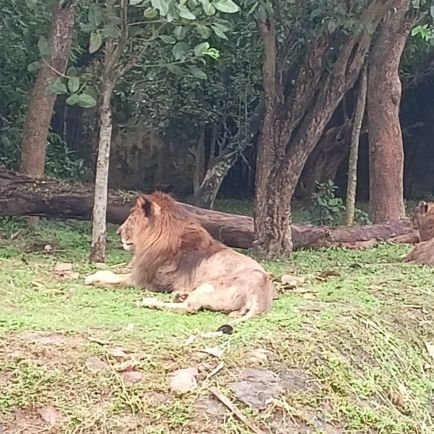 भारतीय