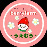 berryfarm・うえむら・(@Berryfarm838) 's Twitter Profile Photo