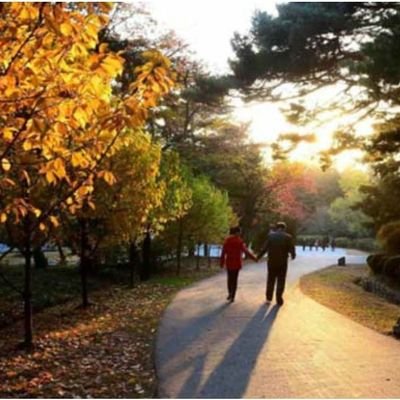 Man2021xl's profile picture. 妄想一夜暴富的打工人