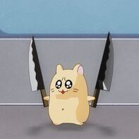 人嫌い偏頭痛さんのプロフィール画像