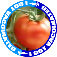 kokumitomato's profile picture. サウナと筋トレにハマる3DプリンターDIY野郎、@kokumitomato！
炎上事案にツッコミ入れつつ、サイバー攻撃や税制改革にも鋭い目線で吠える、好奇心旺盛なネット民！無断フォロー許してね。