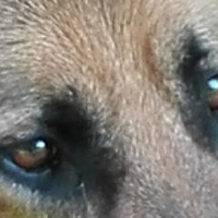 Argus (@ariegus1) 's Twitter Profile Photo Argus (@ariegus1) 's Twitter Profile Photo
