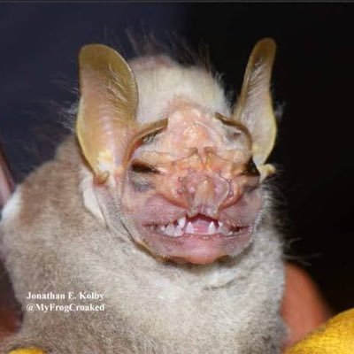 mimikeekee's profile picture.
