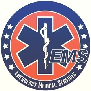 E ms t. Ems почта россии лого. Емс лого. Ems почта россии логотип. Ems.