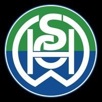 seit 1921 | Fußballmannschaft aus Wels | Kampfmannschaft spielt in der Saison 21/22 in der Regionalliga Mitte