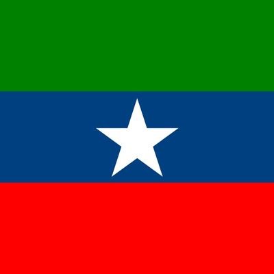 OGADEN DIASPORA COUNCIL