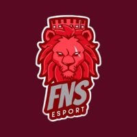 Fns_eSports (@fns_esport) 's Twitter Profile Photo