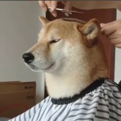 DepakeneR100's profile picture. 大宮周辺で遊んでます