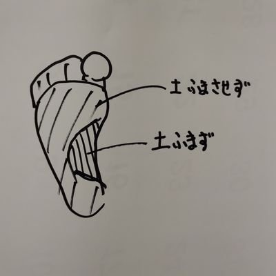 せんもんがくせいさんのプロフィール画像