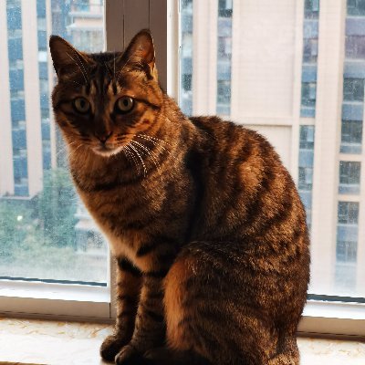 blimey7405's profile picture. #Knitting #Chinesefood #Cooking 
Like to be alone, afraid of loneliness.