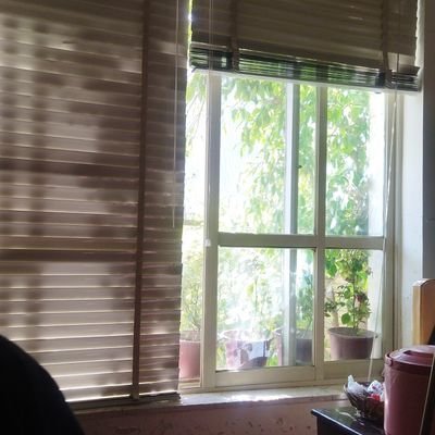 etemadnima's profile picture. Just try hard