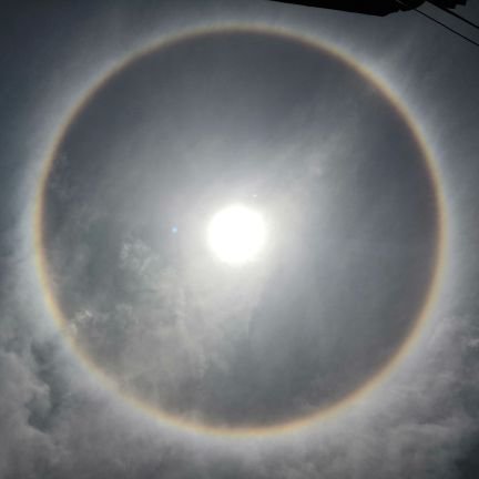 pcled_pcled2's profile picture. 主机游戏/男/动漫