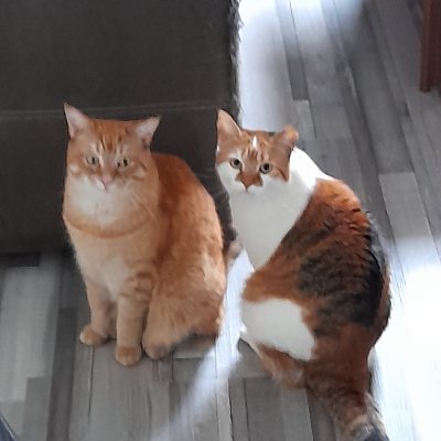 Nastyhdro's profile picture. Manage ein kleines Familienunternehmen, 

manchmal etwas verrückt, gerne Ironisch,
#StopptKinderdurchseuchung#wirsindmehr#wirsindbunt