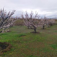 a. J (@amirjah25306880) 's Twitter Profile