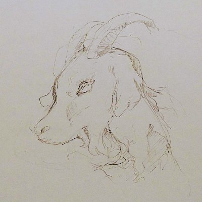 やぎさんのプロフィール画像