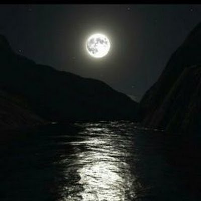 sftosFUf0YFuODx's profile picture. 