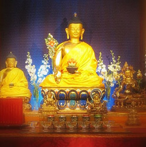 SamudraBuddhist's profile picture. 