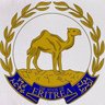 Eritrea_UN's profile picture. The Official Account of the Permanent Mission of Eritrea to the United Nations in New York
