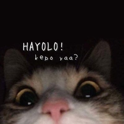 VMailinda's profile picture. ♊︎