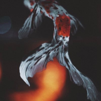 𝐤.𝐤𝐚𝐢𝟏𝟑𓆝さんのプロフィール画像