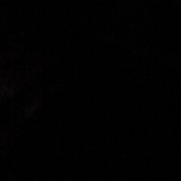 Divya Chhabra (@divyach56925755) 's Twitter Profile