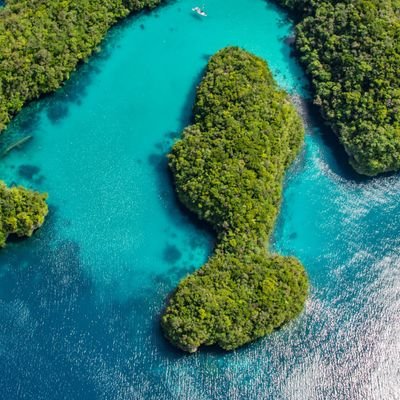 DannyGhafar's profile picture. ☺️