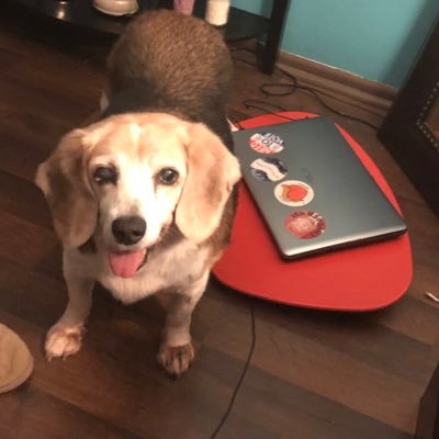 CharissaVaughn's profile picture. #Resistance Blue voter 🗳 in Red Ohio Animal Lover 🐶🐱