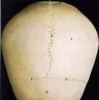 noizk65434881's profile picture. 