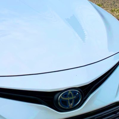 だいやさんのプロフィール画像
