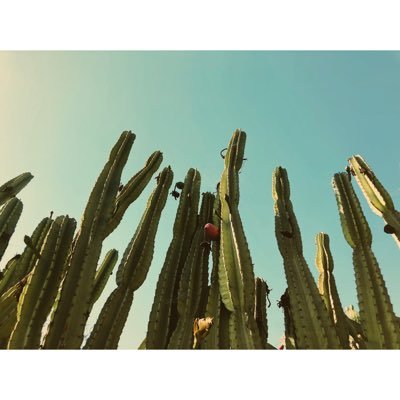 Slide_C_B's profile picture. 