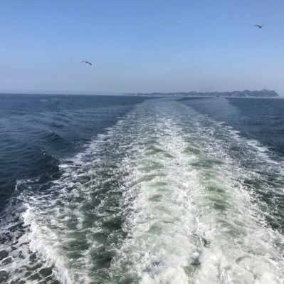 jun74520889's profile picture. 运动 旅行