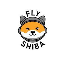 Fly Shiba coin image