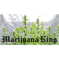 Marijuana King(@MarijuanaKing5) 's Twitter Profile Photo