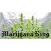 Marijuana King (@marijuanaking5) Twitter profile photo Marijuana King (@marijuanaking5) Twitter profile photo