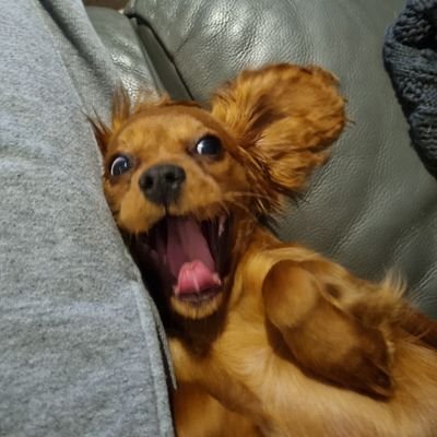 pwestern79's profile picture. 