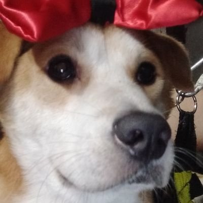 aiiiyaaaaaaa's profile picture. 🖤