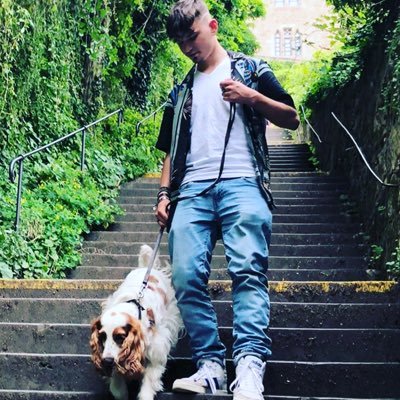 NielsVanLoo1's profile picture. 