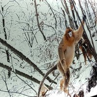 El Calamar del Irati (@calamardelirati) 's Twitter Profile Photo El Calamar del Irati (@calamardelirati) 's Twitter Profile Photo