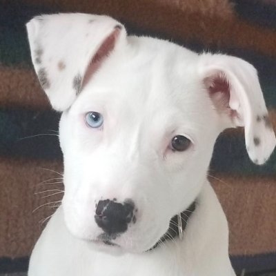 GracyMilly's profile picture. Where Technology Meets Marketing