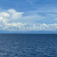 WifeBoss (@aircharterems) 's Twitter Profile