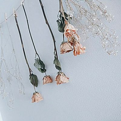 t22ar2n's profile picture. 食べることが大好き🍴服とか旅行もすき👗✈️30↑とても太い ⚠裏垢じゃないです唯のオタクです