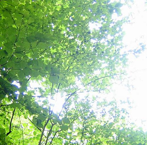 Decolin_Kyo's profile picture. ちょっとサボり気味のベリーダンス、ヨガと多趣味のわたし。
またまた新たな分野を開拓しようと企んでいる元気なアラフォーです。
よろしくお願いします！