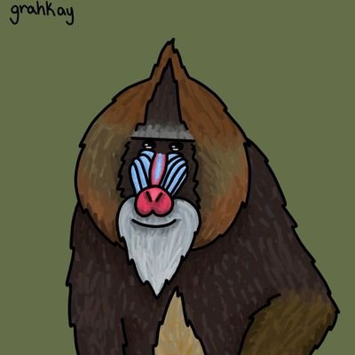 big mandrill just hanging out like having fun and eat banan | dumb human: @zoobagal | pfp by @grahkayyy