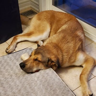 minihabs's profile picture. 