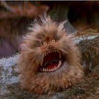 Feral Furby (@_feralfurby) 's Twitter Profile