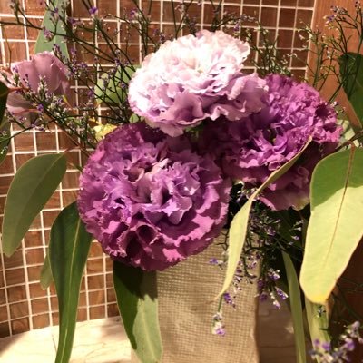 XzIW6P0IUulYPbt's profile picture. 