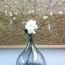 Nina Sheehan - @ninawoodfin - Twitter