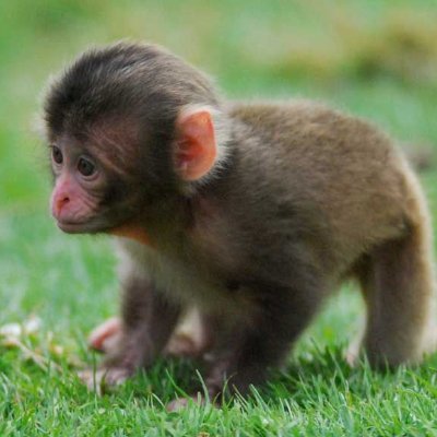 mocteera's profile picture. 