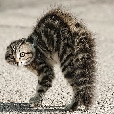 HenryChristhian's profile picture. 