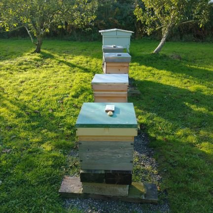 Beekeepers, Community, Education.